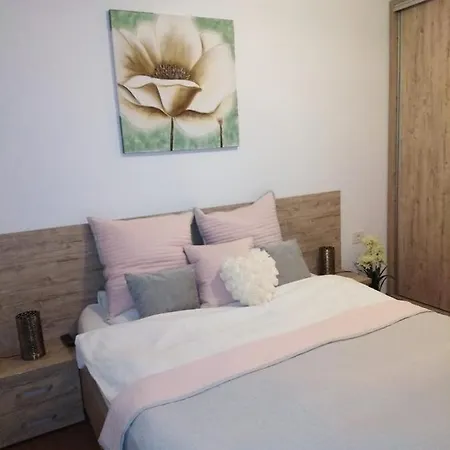 Apartment Apartament Asiral Brasov