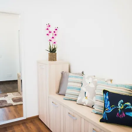 Apartament Asiral Apartment