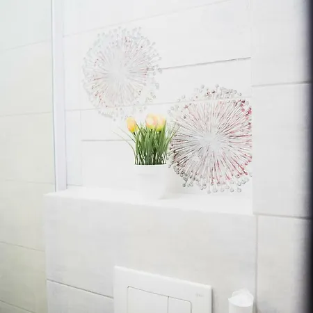 Apartament Asiral * Brasov